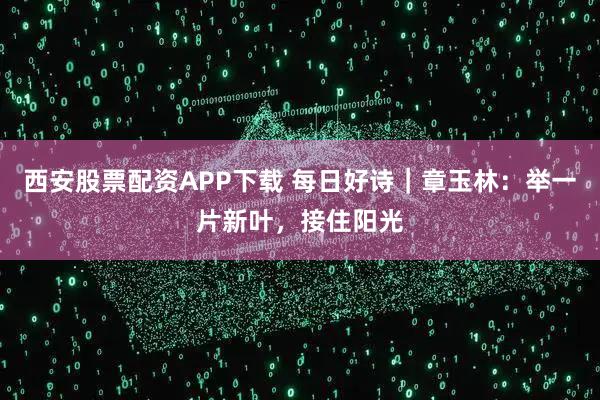 西安股票配资APP下载 每日好诗｜章玉林：举一片新叶，接住阳光