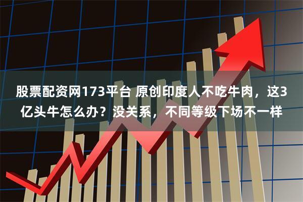 股票配资网173平台 原创印度人不吃牛肉，这3亿头牛怎么办？没关系，不同等级下场不一样