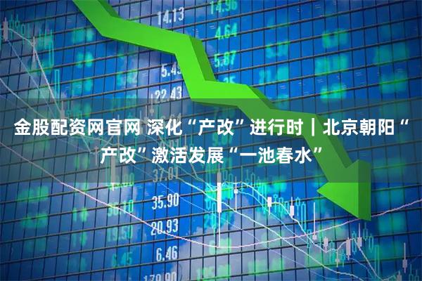 金股配资网官网 深化“产改”进行时｜北京朝阳“产改”激活发展“一池春水”